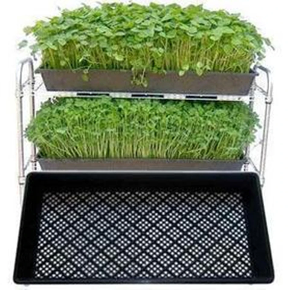 

2019 Hot sale plastic black 1020 flat tray, grow wheatgrass hydroponics tray for nursery