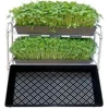 2019 Hot sale plastic black 1020 flat tray, grow wheatgrass hydroponics tray for nursery