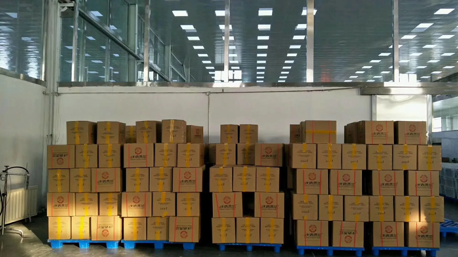 whole raw walnut in shell walnut export