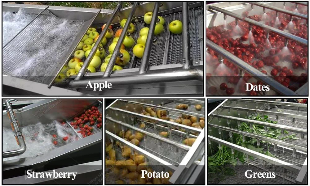 500kg/h Industrial Automatic Fruit Washer Dryer Vegetable Washing