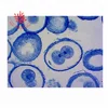 Genetics study Horse Ascarids mitosis microscope slides
