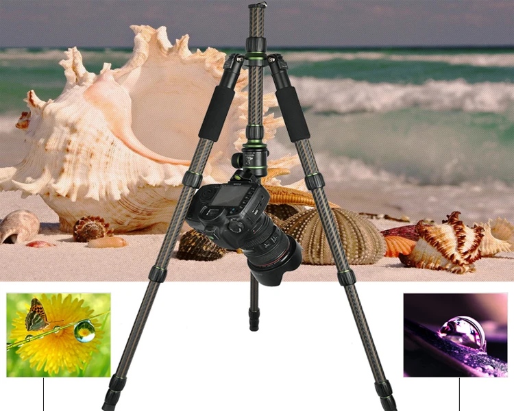 Travel Carbon Fiberprofessional Camera Tripod With Ball Head Monopod