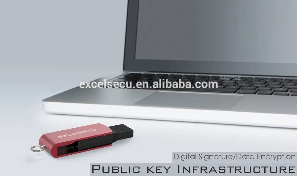 
PKI digital signature token 