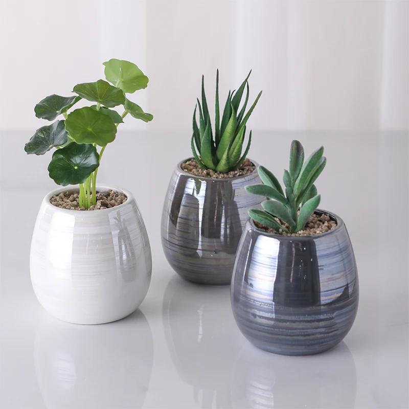 

Home Decor Artificial Bonsai Succulent Plants With Ceramic Pot