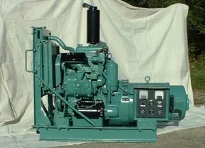 20 Kw Detroit Diesel Generator Sets 