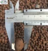 8-16mm Soilless Medium Expanded Clay/Hydroponic Clay Pebbles