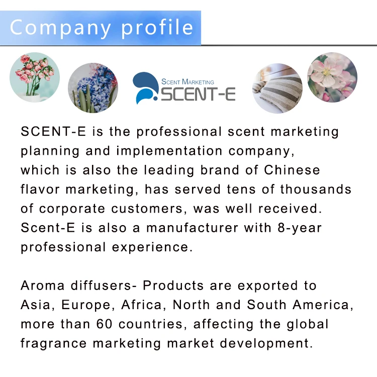 company profile.jpg