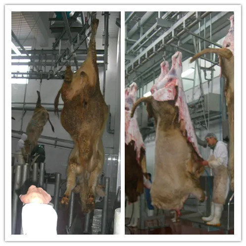 cattle/cattle carcass body lift cattle slaughterhouse equipment cattle slaughtering equipment