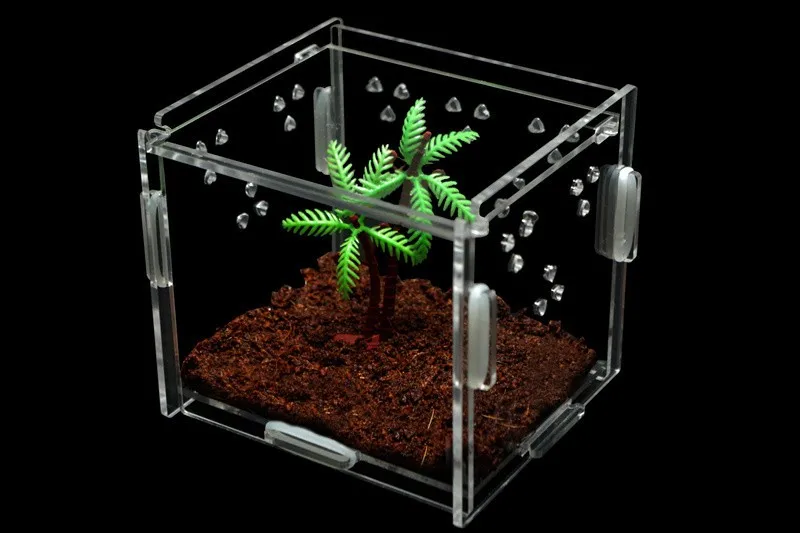 2018 Manufacturer Custom Clear Plexiglass Acrylic Square Terrarium