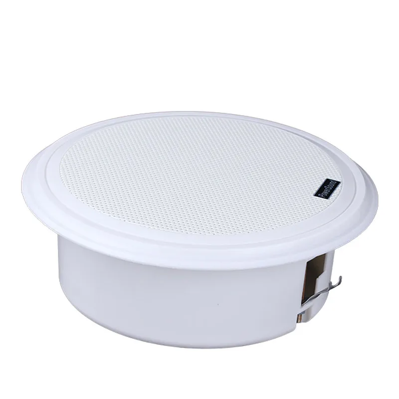ceiling speaker (1)