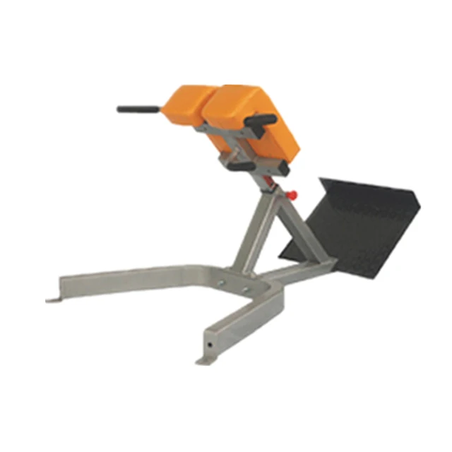Gym Equipment Names Roman Chair Hyper Extension Lower Back