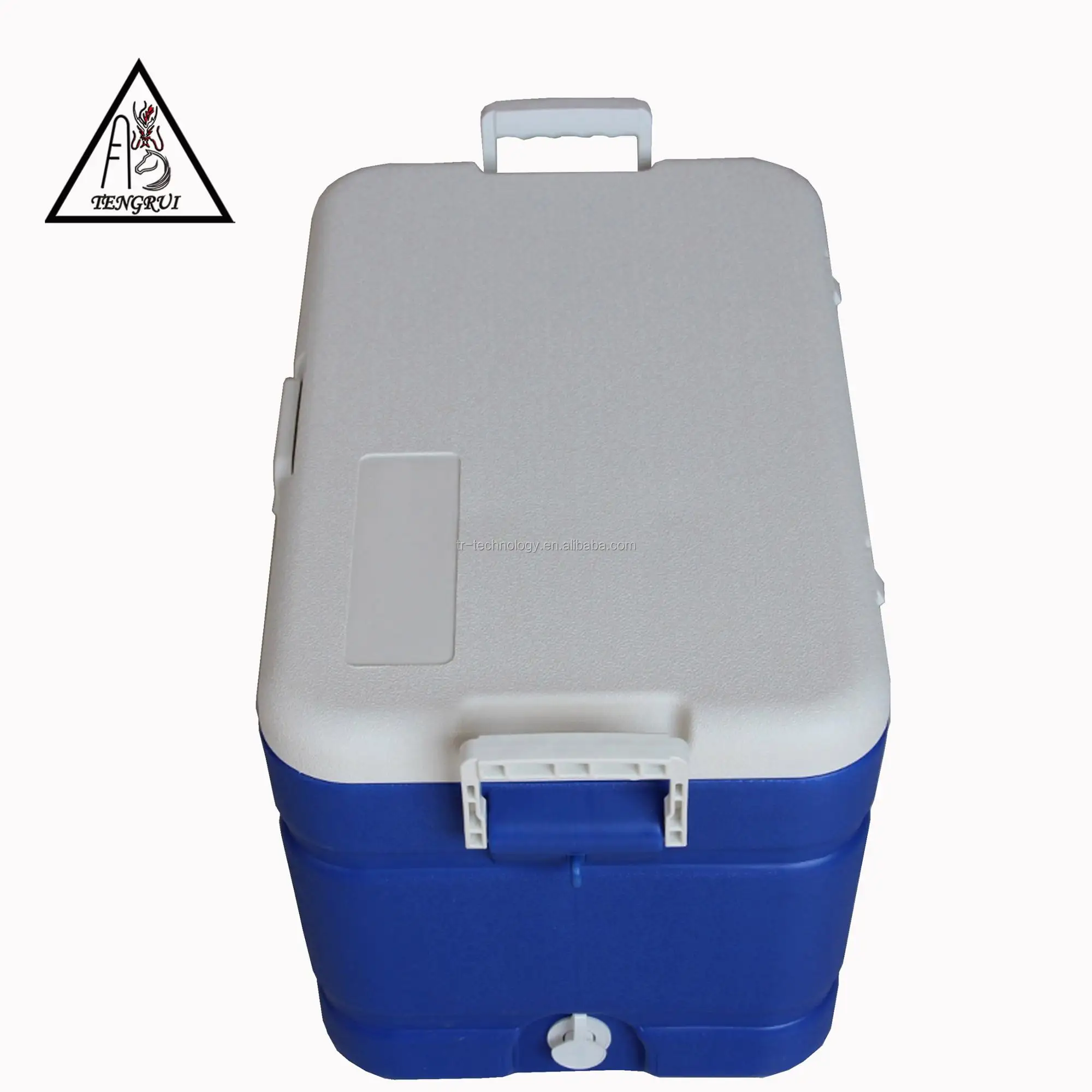 Commercial Use Styrofoam Cooler Box,Customizable Ice Cooler Box Buy