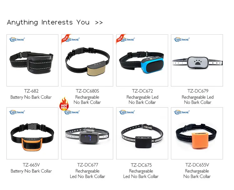 no bark collar