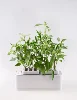 decorative console table home decoration accessories