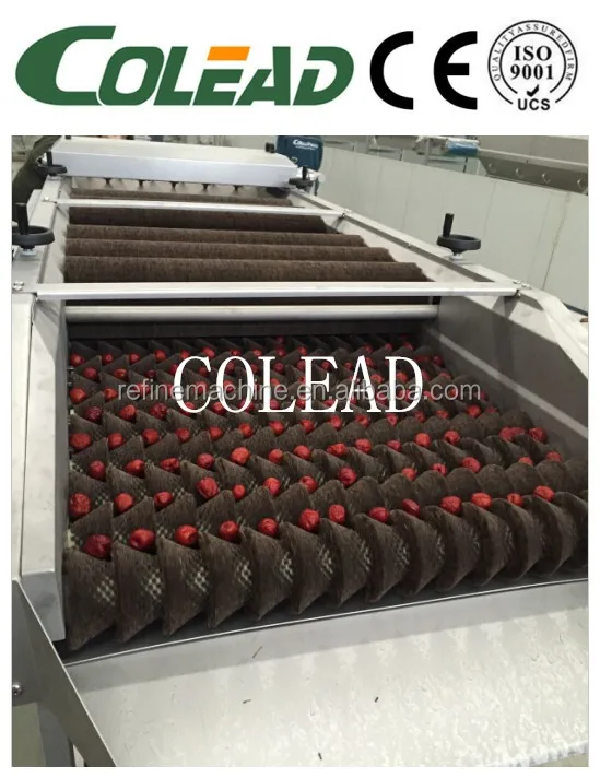 brush washing machine vegetable and fruit washing machine or cleaning machine from Colead