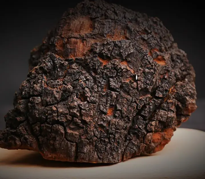 
Top superfood chaga tea help in fight against cancer 