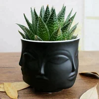 

wholesale hot selling ceramic face planter or ceramic pots for plants