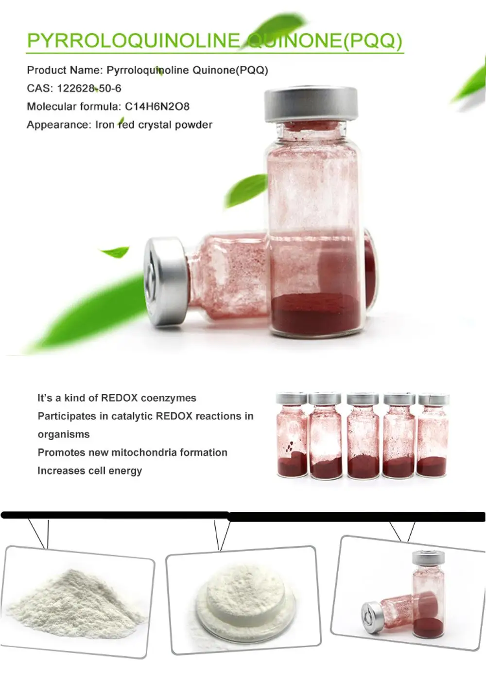 Best Bio Pqq Supplement Health Benefits Pyrroloquinoline Quinone Buy