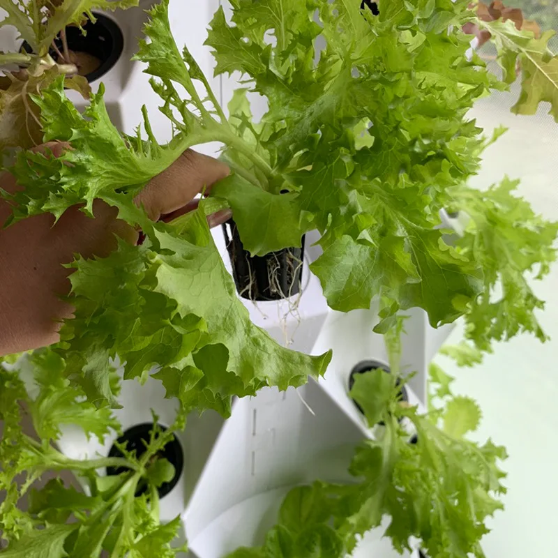 Skyplant Vertical hydroponic growing systems  smart home automation system