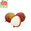 Sweet fresh high quality lychee