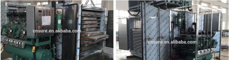 Blast Freezer, 380V 50HZ, 1.5kw - detail 20