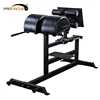 High Quality Gym Glute Ham Developer