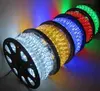 Led Rope Light Party Xmas wedding 110/220V Custom Cut+plug 2 Wire