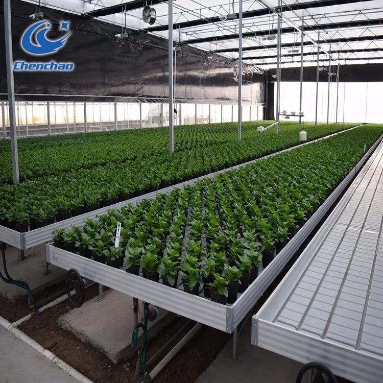 
High-quality Complete system easy install hydroponic ebb flow table for greenhouse 