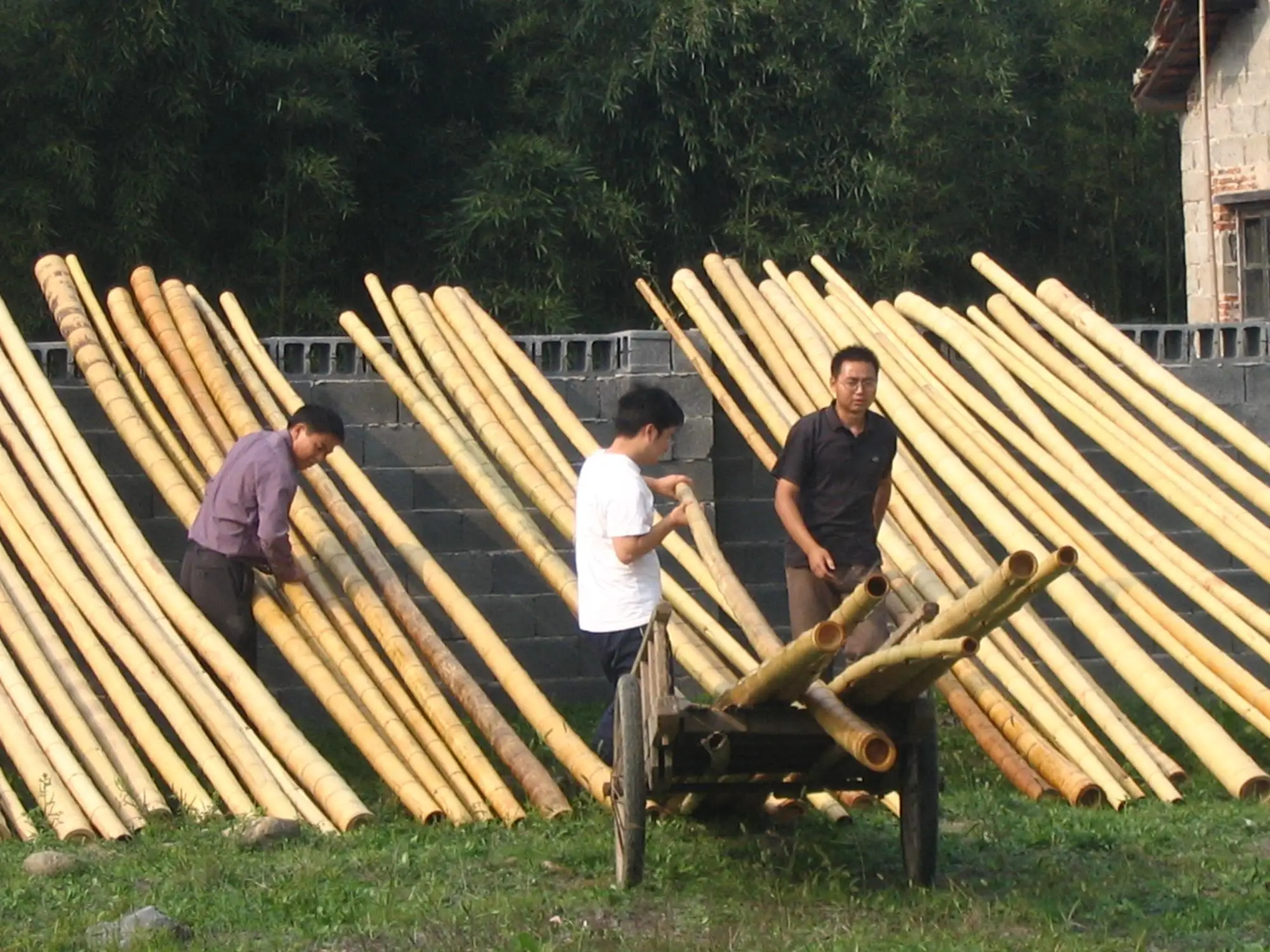 Natural Raw Large Bamboo Pole Buy Large Bamboo Pole,Bamboo Pole,Raw