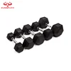 Hex Single Dumbbell Pound Weight