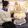 30/45/60cm Cute Corgi Dog Plush Toy Plush Soft Animal Cartoon Pillow Lovely Christmas Gift for Kids Kawaii Valentine Presents