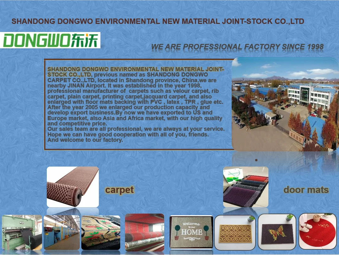 dongwo factory profile.png