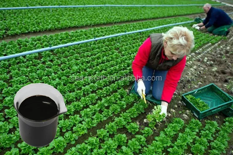 Best sell organic root growth promoting agent with low price