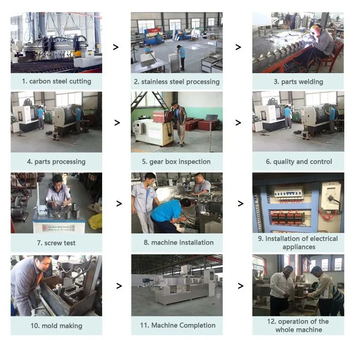 Rice chips extruder.jpg