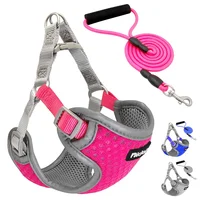 

Didog Breathable Mesh Dog Body Harness Set For Puppy Dogs Pets