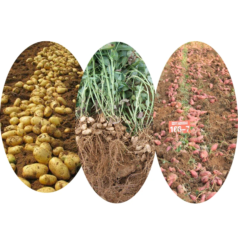 potato harvest machine.jpg