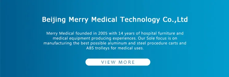 merrymedical (6)_