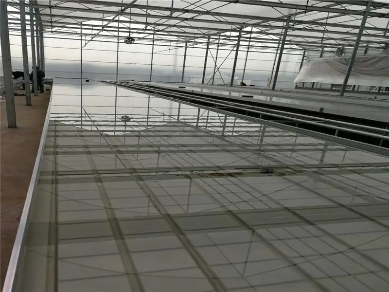
Cost-effective Hydroponic Seedling Bed plant nursery 