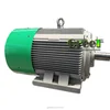 Mini hydro electric permanent magnet generator 12kw 300rpm with low rpm and 3 phase ac generator