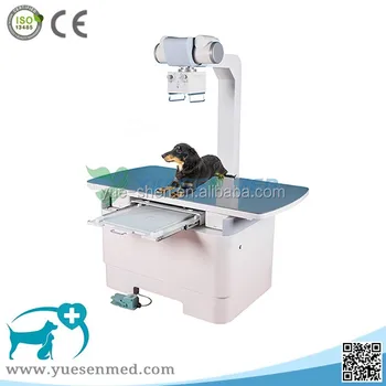 x ray animal hospital