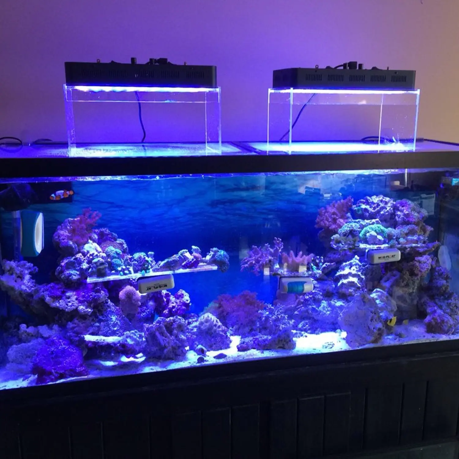 1 (15).jpg