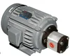 AC motor pump used in large equipments