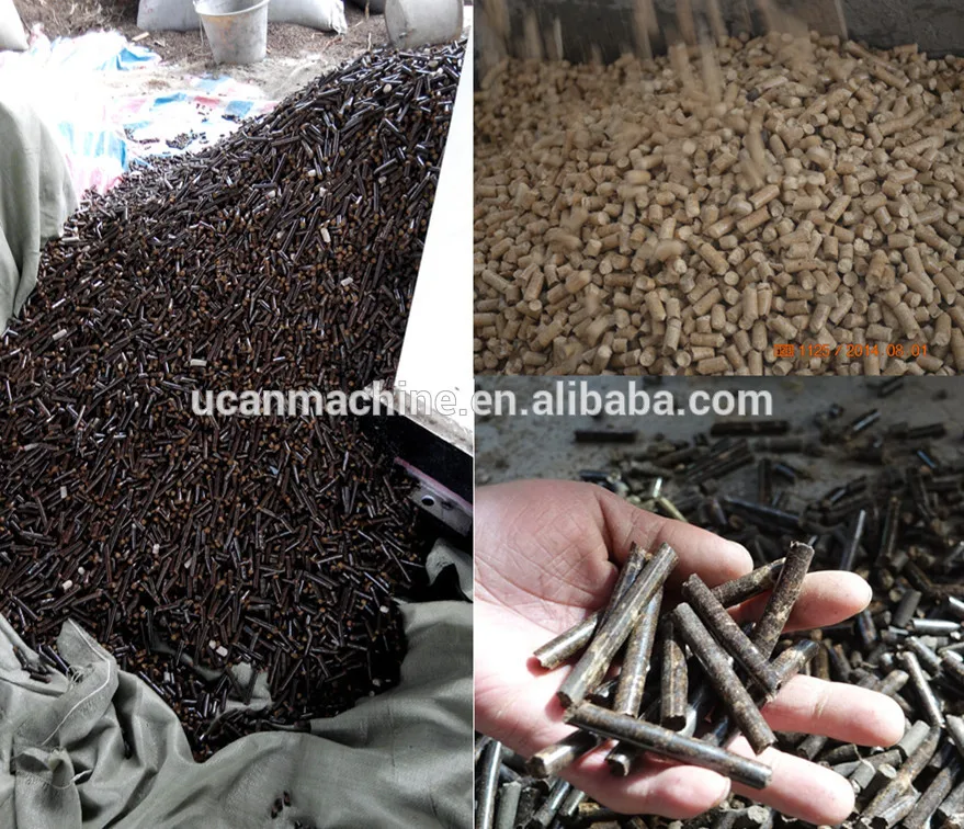 photos of pellets.jpg