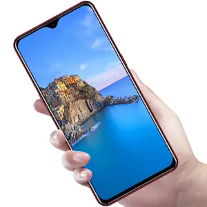 P30 PRO Mobile Phone Gifting