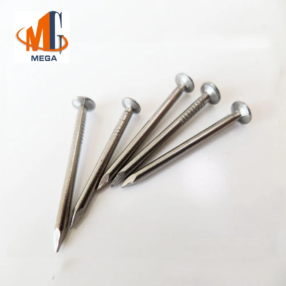hot sale common nails/common iron nail/common wire nail factory
