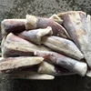 Seafrozen Peru/Giant Squid Tail Squid Meat Less Quantity