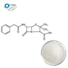 High Quality 99% Penicillin powder,69-57-8,Penicillin G sodium salt/Antibiotics