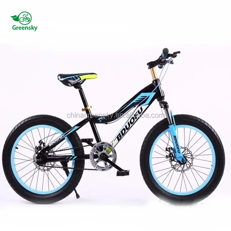 bike with shock absorber