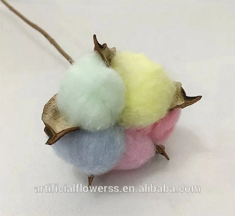 Cotton-Flower (3).jpg