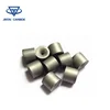 Tungsten carbide nibs and carbide wire drawing dies